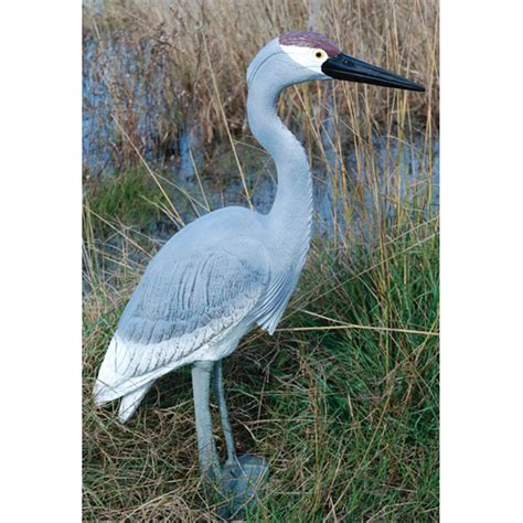 crane decoys